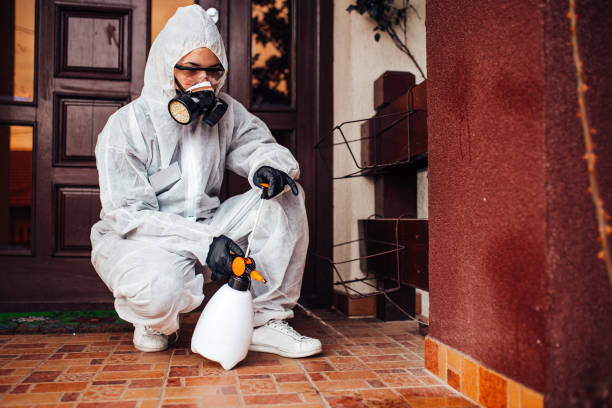 Reliable Ant Control contractor in Lake Ridge, VA by Show Me Pest Control